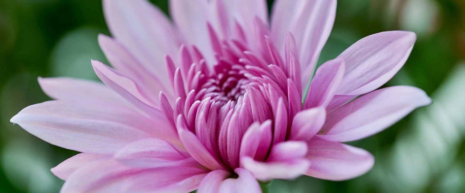 电竞博彩PG电子